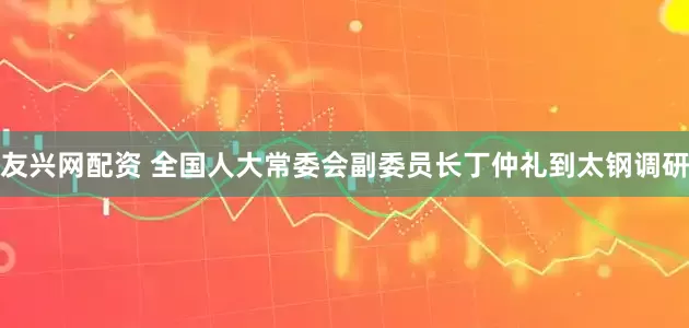 友兴网配资 全国人大常委会副委员长丁仲礼到太钢调研