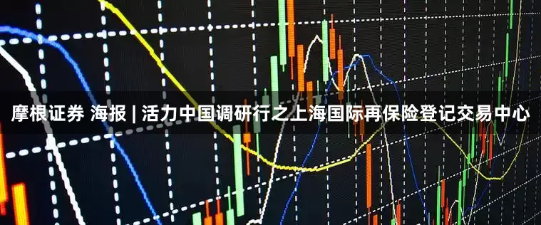 摩根证券 海报 | 活力中国调研行之上海国际再保险登记交易中心