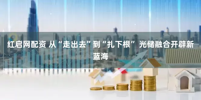 红启网配资 从“走出去”到“扎下根” 光储融合开辟新蓝海