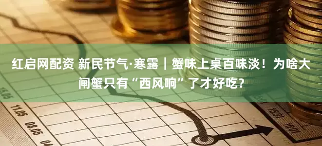 红启网配资 新民节气·寒露｜蟹味上桌百味淡！为啥大闸蟹只有“西风响”了才好吃？